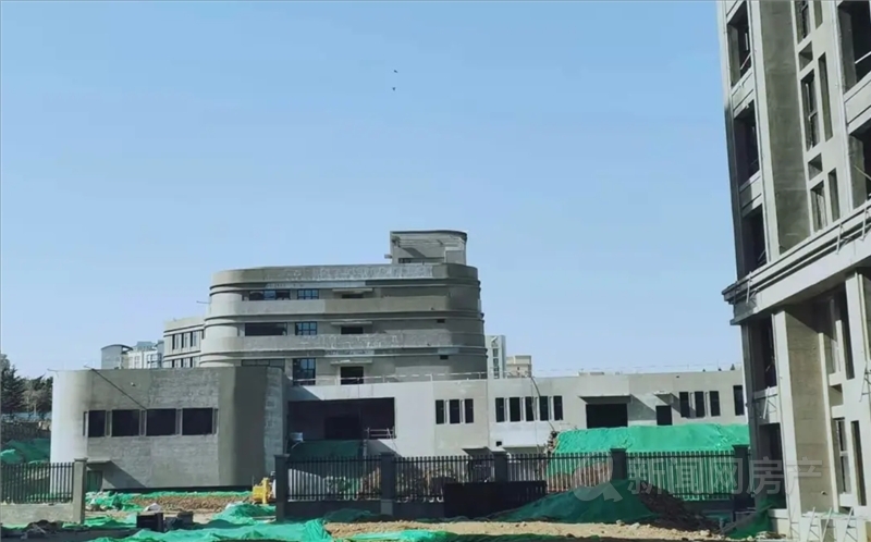 水青花都观山,改善，崔家沟小学,实体样板间,青岛新闻网