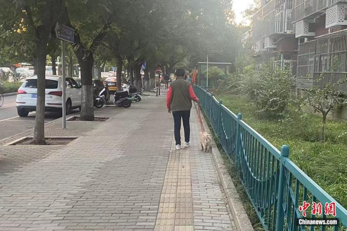 资料图：市民栓绳遛狗。中新财经 葛成 摄
