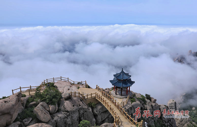 微信图片_20190613143231.jpg